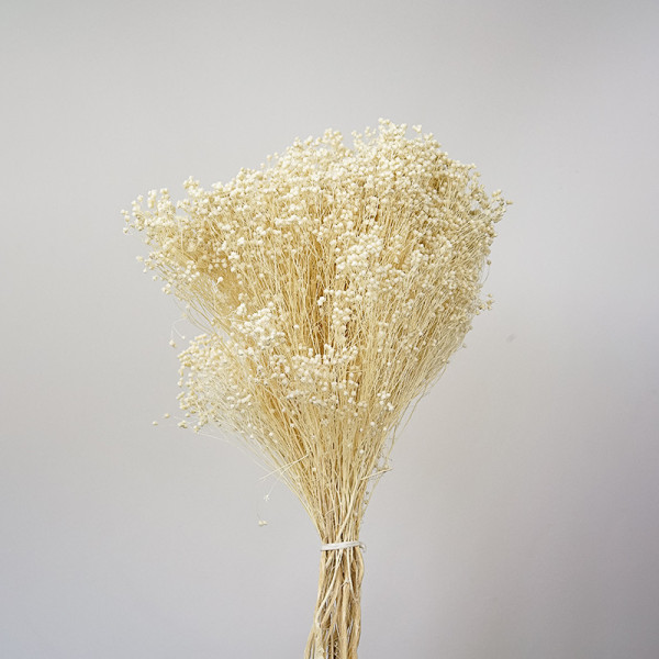 Broom Bloom | 100 gr. | White