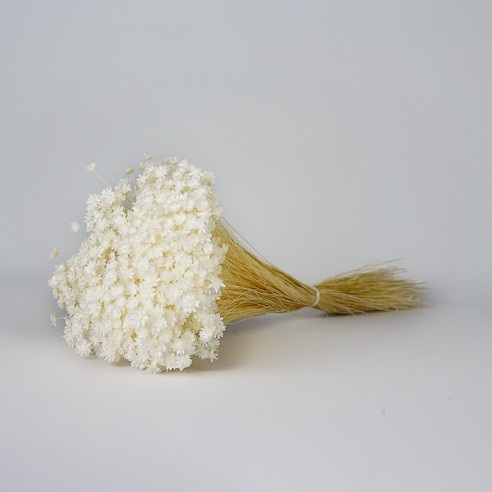 Dried Glixia | 100 gr. | approx. 350...