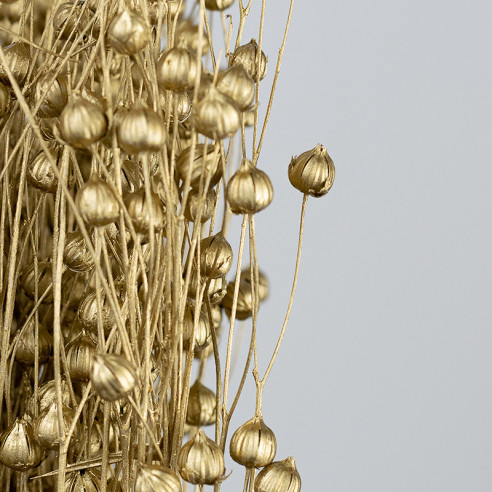 Dried Flax | 100 gr. | Golden | about...