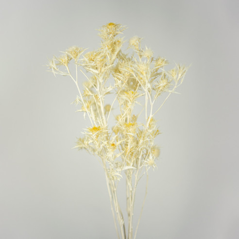 Getrocknete Mini-Distel | 100 gr. |...