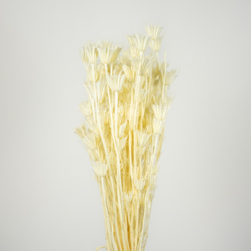 Dried Oriental Cumin | 100 gr. |...