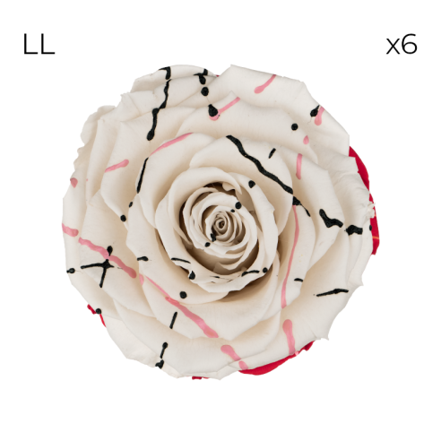 RoseAmor LL stabilisierte Rosen | 6...