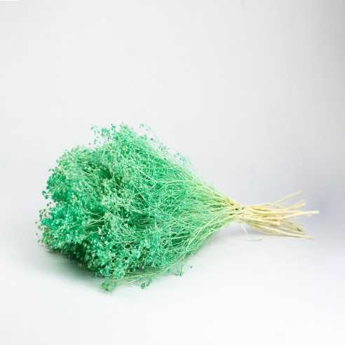 Dried Broom Bloom | bouquet 100 gr. |...