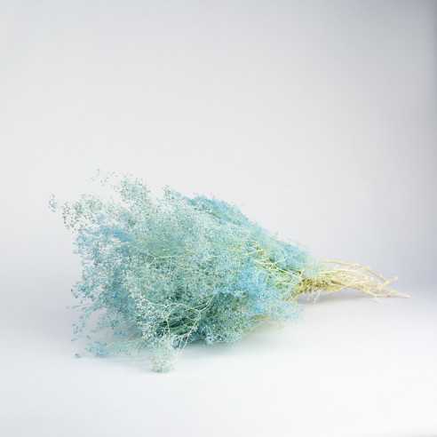 Stabilized gypsophila | bouquet | Blue