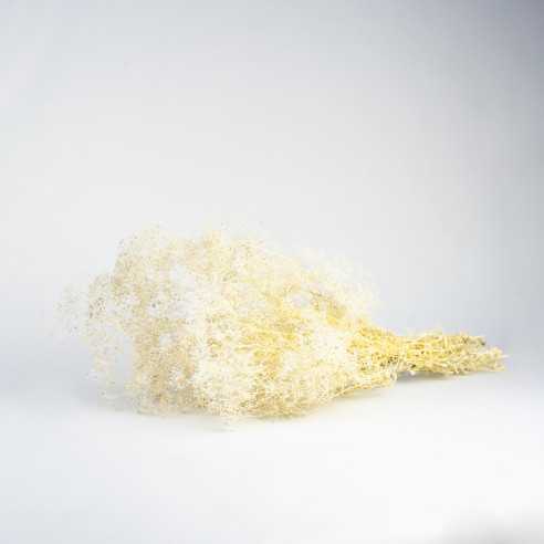 Stabilized gypsophila | bouquet | White