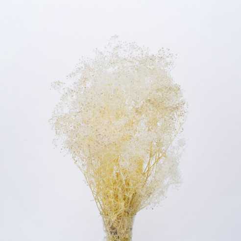 Stabilized gypsophila | bouquet | White