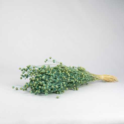 Dried Flax | 100 gr. | Blue | approx....
