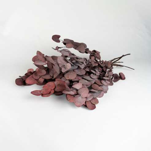 Stabilized eucalyptus | CINEREA | 150...