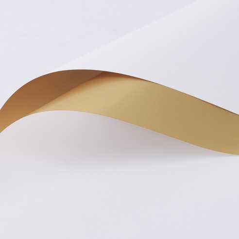 Blumenfolie | 20 Blatt | 58x58 cm |...