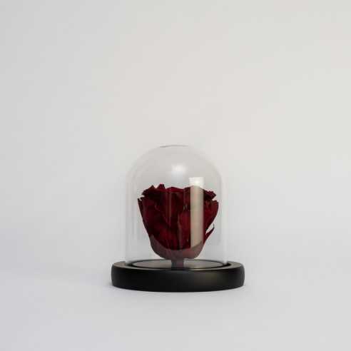 Glass domes 8x10 cm | 6 pcs | Black base